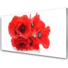 Nástenný panel Kvety 100x50 cm