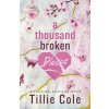 A Thousand Broken Pieces