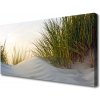Obraz Canvas Piesok tráva krajina 100x50 cm