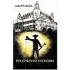 Polepšovňa svedomia - Jozef Pobočík