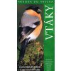 Vtáky - Príroda do vrecka - Jonathan Elphick, John Woodward