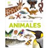 El Libro de Los Animales (Our World in Pictures: The Animal Book)