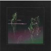 Wolfmother - Rock'n'roll Baby (Limited Edition) (Green Coloured) (LP)