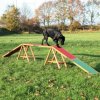 Trixie Agility prekážka pre psy, kladina Dog Activity 456 x 64 x 30cm