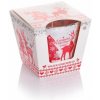 Bartek Candles Scandinavian Christmas - zimný perník 115g