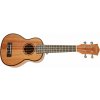CASCHA HH 2026 Soprano Mahogany Ukulele Sada