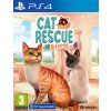 Cat Rescue Story