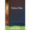 Profesor Šiltao