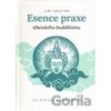Esence praxe tibetského buddhismu ve světle uvědomění - Jiří Krutina