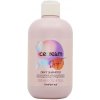 Inebrya Ice Cream Dry-T šampón 300ml