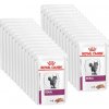 ROYAL CANIN Cat Renal 2x(12x85g)