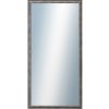 DANTIK - Zarámované zrkadlo - rozmer s rámem cca 50x100 cm z lišty TRITON cín (2146)