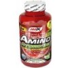 AMIX Amino Hydro 32 250 tabliet