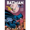 Batman by Jeph Loeb and Tim Sale Omnibus