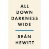 All Down Darkness Wide: A Memoir
