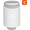 Avatto TRV10 ZigBee Tuya
