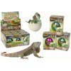 LEAN TOYS Čarovné rastúce vajíčko jašterice - 6 cm