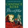 The Fire In The Flint - Candace Robb
