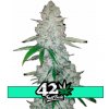 Fast Buds Glue Auto (dříve Gorilla Glue Auto) neobsahuje THC 10 semen