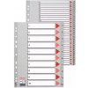 Farebné registre, šedá, A4 Maxi, plast, 1-31, ESSELTE