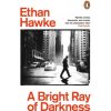 A Bright Ray of Darkness