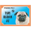 Dafiko Tabulka Tady hlídám! Mops 1ks