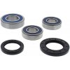 All Balls Racing Ložiská tesnenie kolesa sada All Balls Racing WB25-1749