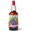 Trávníček Dračia krv - Šišiak bajkalský 50 ml