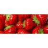 DIMEX | Panoramatická vliesová fototapeta na stenu Jahody MP-2-0241 | 375 x 150 cm | červená, zelená + Panoramatická vliesová fototapeta na múr DIMEX Jahody MP20241 v rozmere 375 x 150 cm