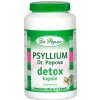 DR. POPOV psyllium detox 120 kapsúl
