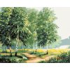 Maľovanie podľa čísel – Brezy pri ceste II, 100 × 80 cm, bez rámu a bez napnutia plátna 8596530000907