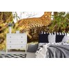 Samolepiaca vliesová fototapeta Africký leopard 375 x 250 cm