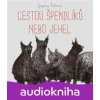 Cestou špendlíků nebo jehel - Zuzana Říhová