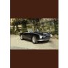 Luxury Toys Classic Cars - Paolo Tumminelli, teNeues