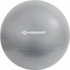 Schildkröt Gymnastic Ball 55cm