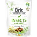 Brit Care Dog Insects with Rabbit & Fennel 200 g