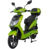 Racceway E-Fichtl 250W 20Ah Zelená