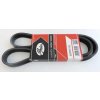 GATES 6DPK1195 Klinový remeň 1.6, 2.0, 1.9TDI, 1.8 - 06A260849C