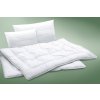 Ložnice21. Celoročný set Vital antibakteriálna 50x70 zips vak 500 g prikrývka 140x200 300 g/m2