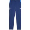 Pánske športové tepláky Puma, NEYMAR JR PLAYMAKER TRAINING PANT modrá,biela,mix XL