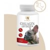 COLLAGEN ADVANCED + /prírodný hovädzí kolagén v kapsulách pre psy 150 ks /
