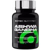 Scitec Nutrition Scitec Ashwagandha 60 kapsúl
