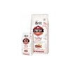 Brit Fresh Dog Beef & Pumpkin Puppy Large 2,5 kg