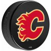 Mustang Puk Calgary Flames NHL Printed Primary Logo