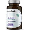 ProteinaCo Shilajit - 60 kapsúl