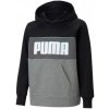 Puma Alpha Hoodie Jr 585892 01 (75222) 128cm