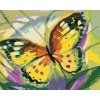 Zuty – Maľovanie Podľa Čísel – Motýľ Žltáčik, 40 × 50 cm, Plátno 8596530138440