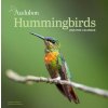CAL 26 AUDUBON HUMMINGBIRDS (MINI WALL)(Kalendár)