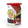 Geladrink Ferritin nápoj černý rybíz 360g
