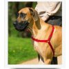 PetSafe Easy Walk Postroj proti ťahaniu červená M